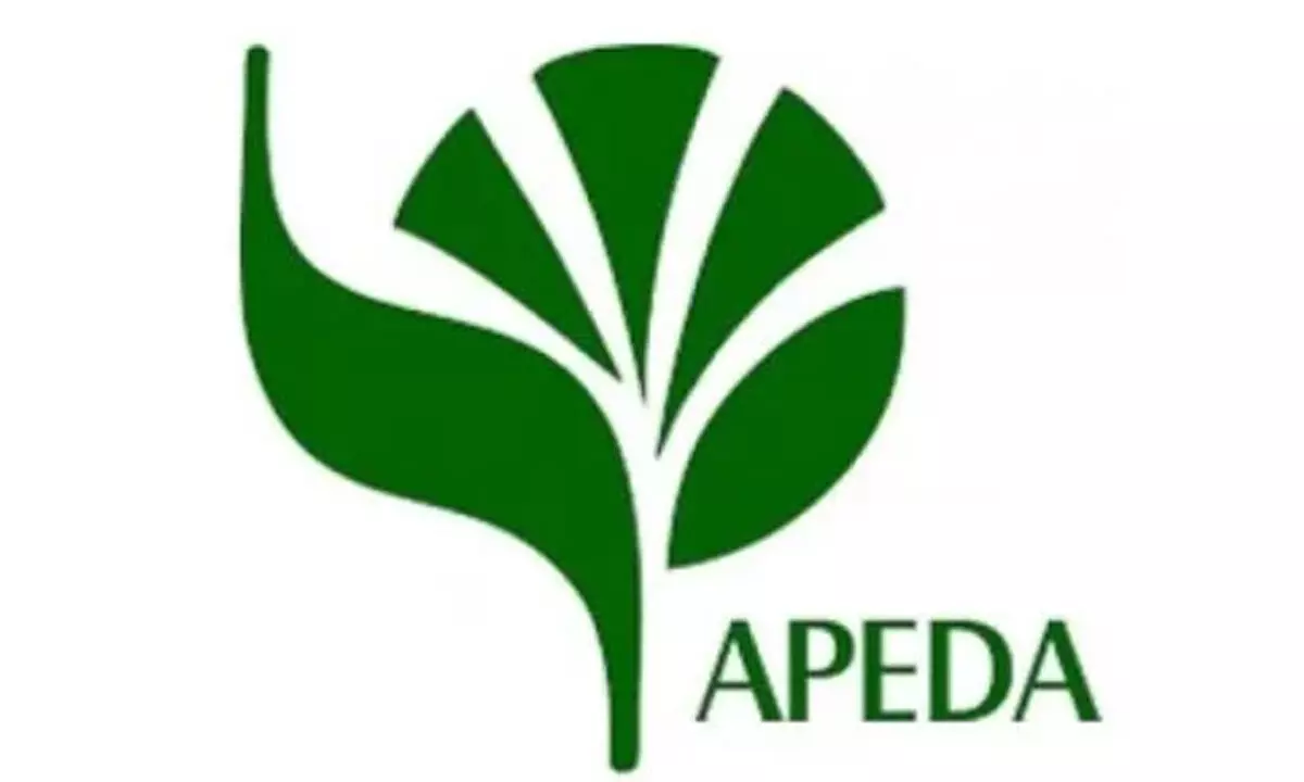 APEDA chairman holds interactive meeting with exporters from TS