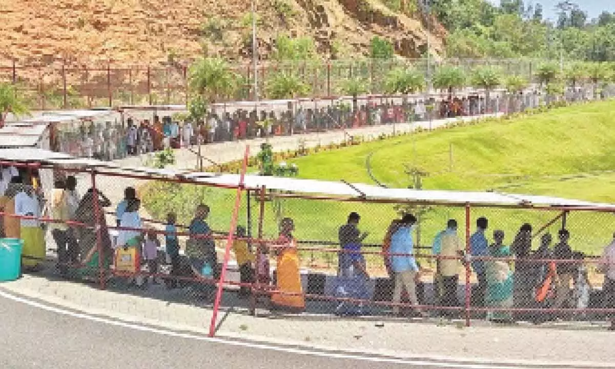 A view of the serpentine queue of pilgrims at Silathoranam junction at Tirumala on Friday