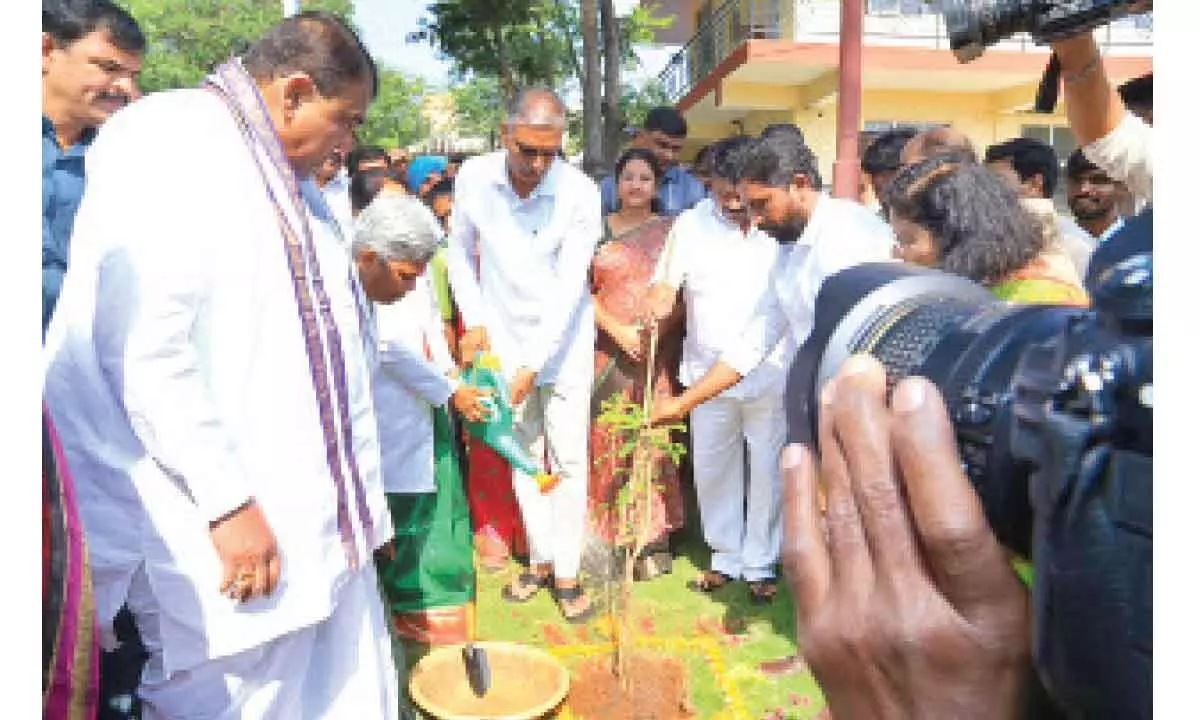 Telangana will become hub of naturopathy says Harish Rao