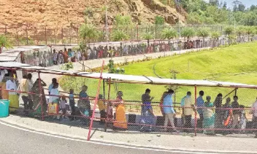 A view of the serpentine queue of pilgrims at Silathoranam junction at Tirumala on Friday