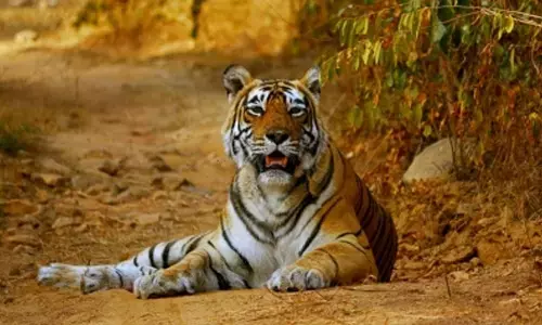 Representational image