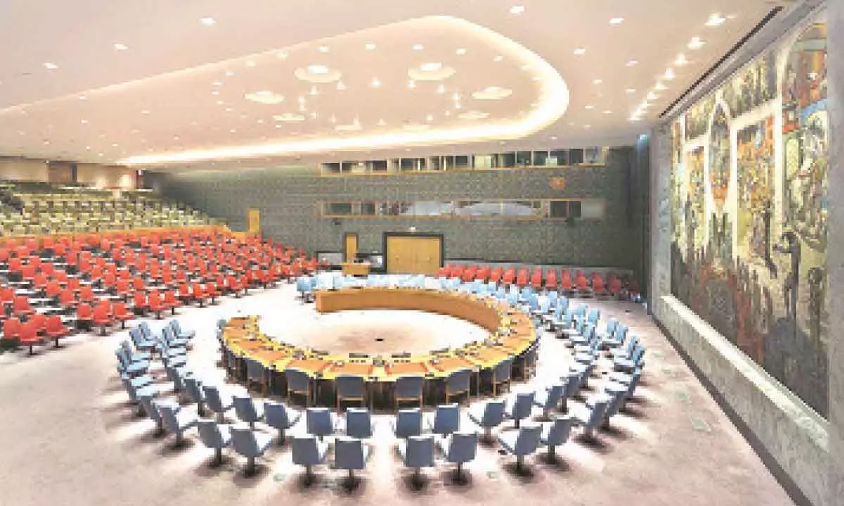Making a strong case for Security Council reform