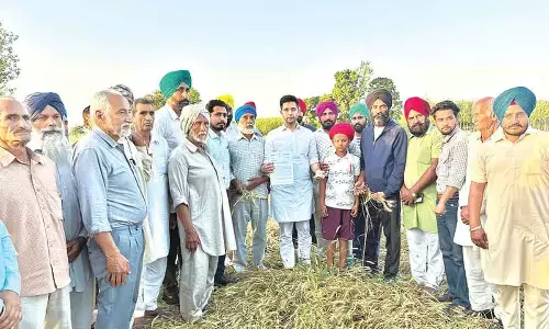 Chadha reviews crop damaged in Punjab, writes to Centre for Compensation