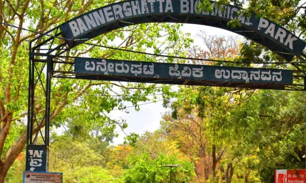 Bannerghatta Biological Parks record revenue of Rs 53 crore