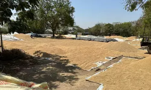 The State government had decided to set up 848 purchasing centers in the combined district, however, not a single one has been opened yet