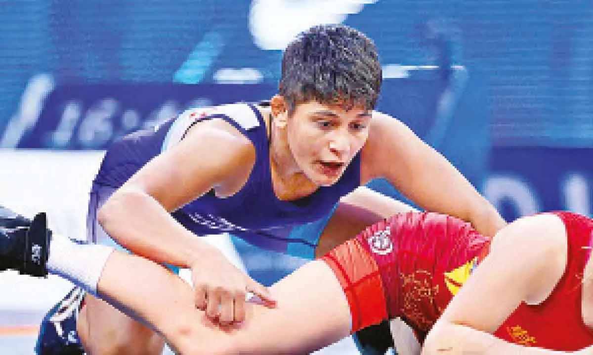 Panghal reaches gold medal round