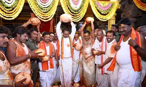 The EO, officials and others offering pumpkins as part of  Satvika Bali to Goddess Bhramaramba Devi at Srisalam  temple on Tuesday