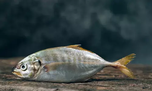 Representational image