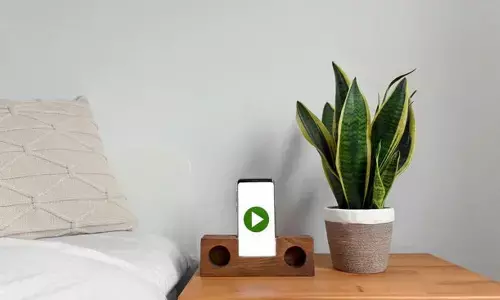 Snake plants naturally emit oxygen, which can help purify the air you are breathing in, leading to better and healthier sleep.