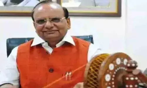 LG lauds police over smooth conduct of Ram Navami, Hanuman Jayanti