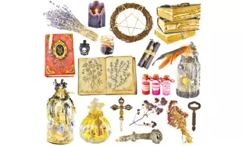 Celebrating magical moments