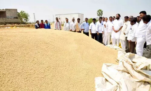 Nalgonda MP Uttam Kumar Reddy examining the paddy during the inauguration of paddy procurement center in Vepala singaram village in Suryapet on Wednesday