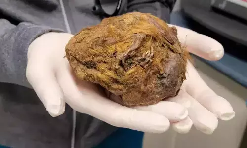 30,000-Year-Old Preserved Squirrel Discovered