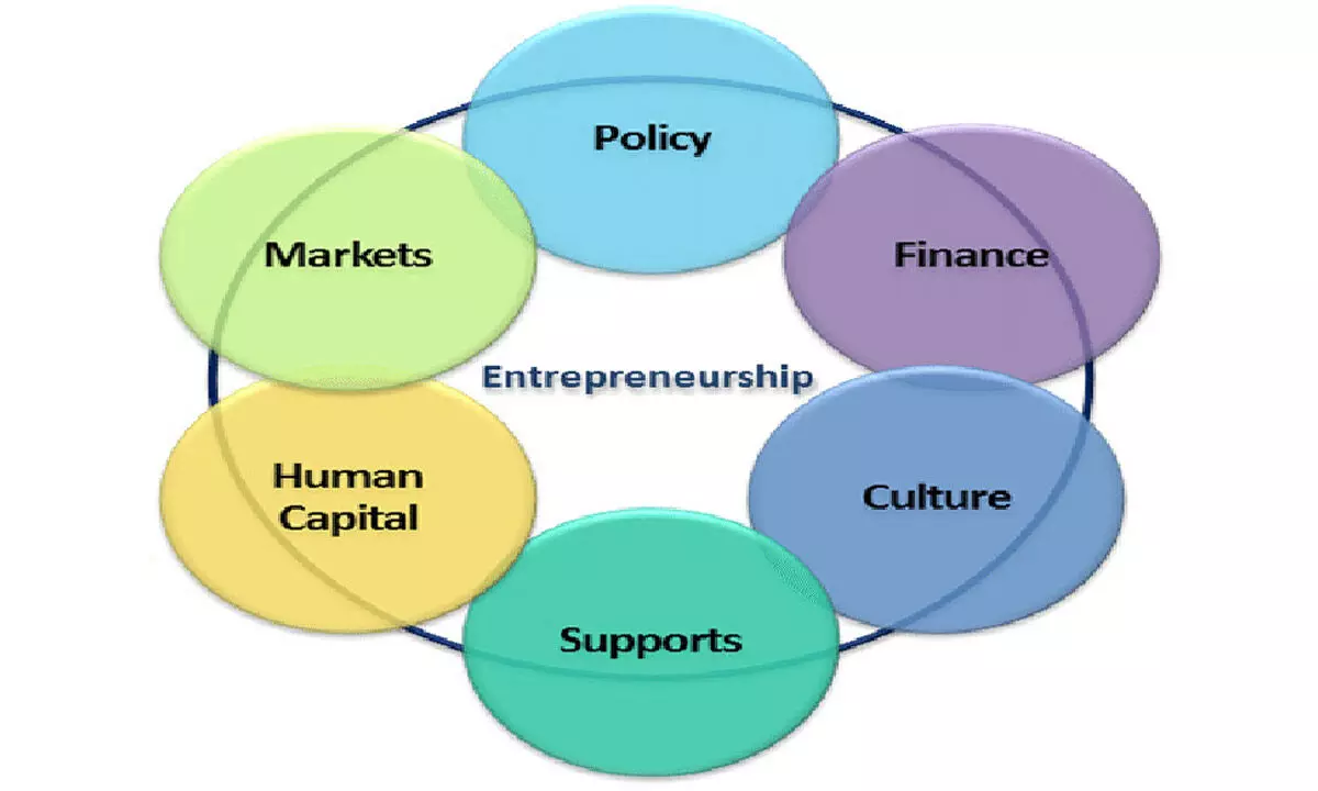 Creating entrepreneurial eco-systems for college students