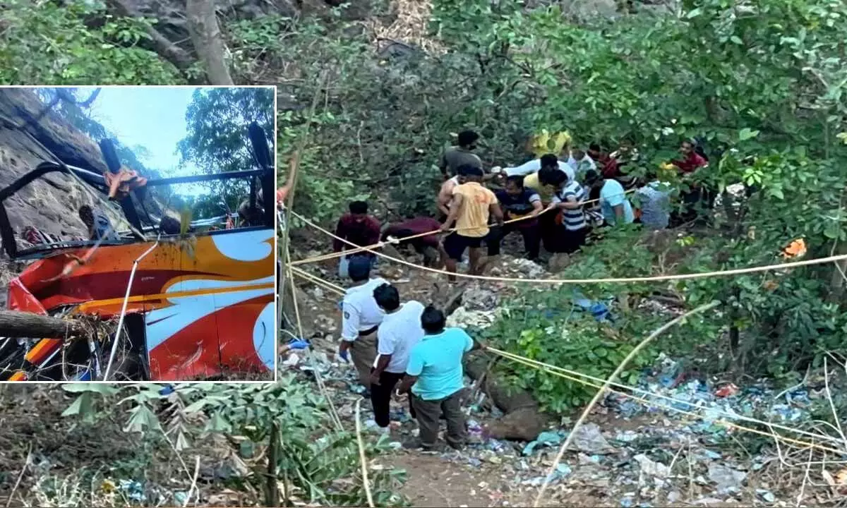 Maharashtra: 8 persons dead after bus falls into gorge