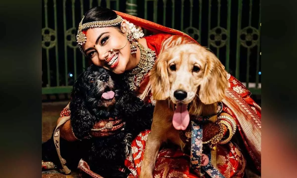 The rise of pet-friendly weddings in India