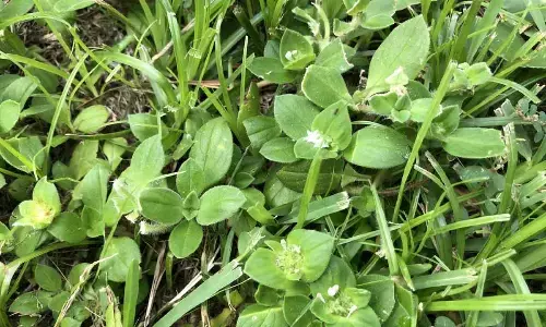 Good, bad & sometimes beautiful