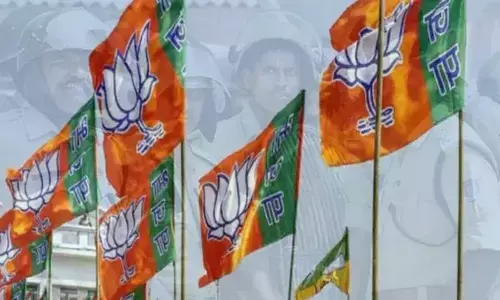 For representational purpose