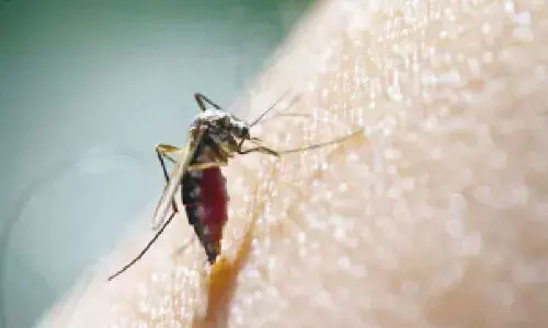 World Mosquitoes Prevention Day: Medical officials take out awareness rally