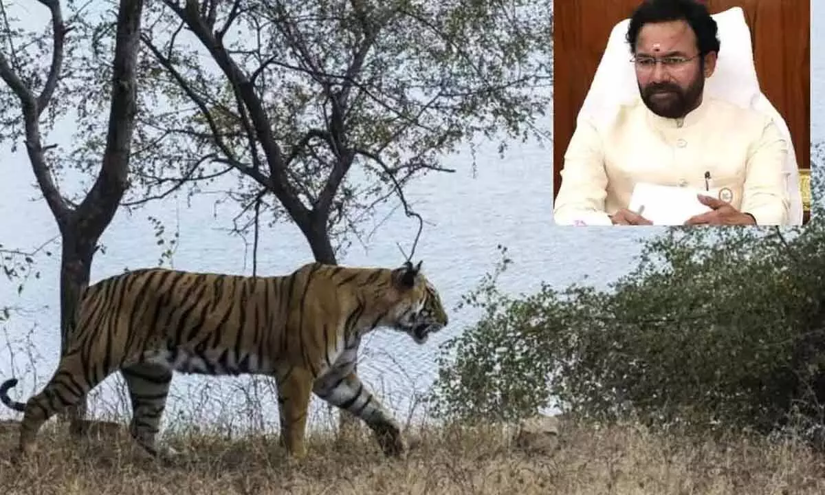 T under-utilising CAMPA funds, tiger population declining: Kishan Reddy writes to CM