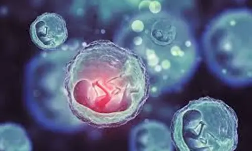 Stem-cell babies could be a reality someday