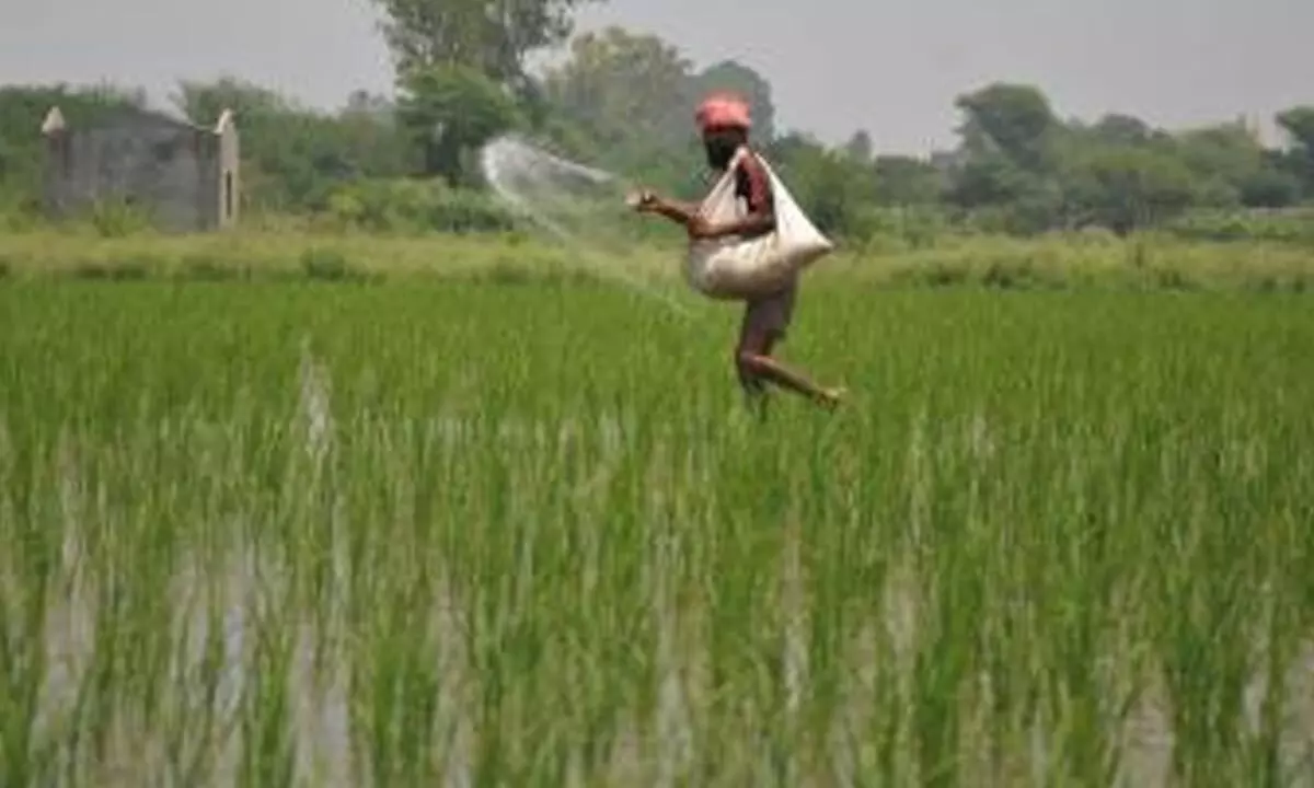 Banned pesticides found in several parts of Tamil Nadu, govt to take action
