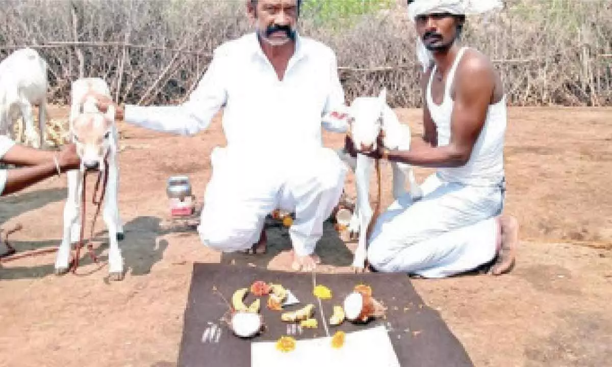 Bengaluru: BJP aspirant seeks bovine blessings for his B form