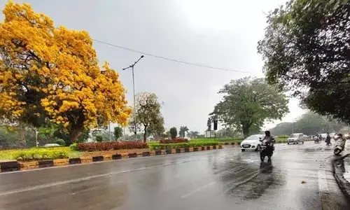 For representational purpose