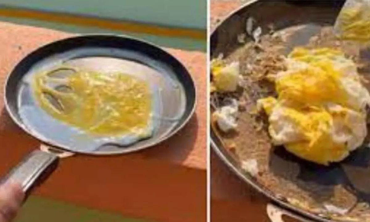 Watch The Trending Video Of A Vlogger Cooking Omelette On Terrace Using Only Suns Heat