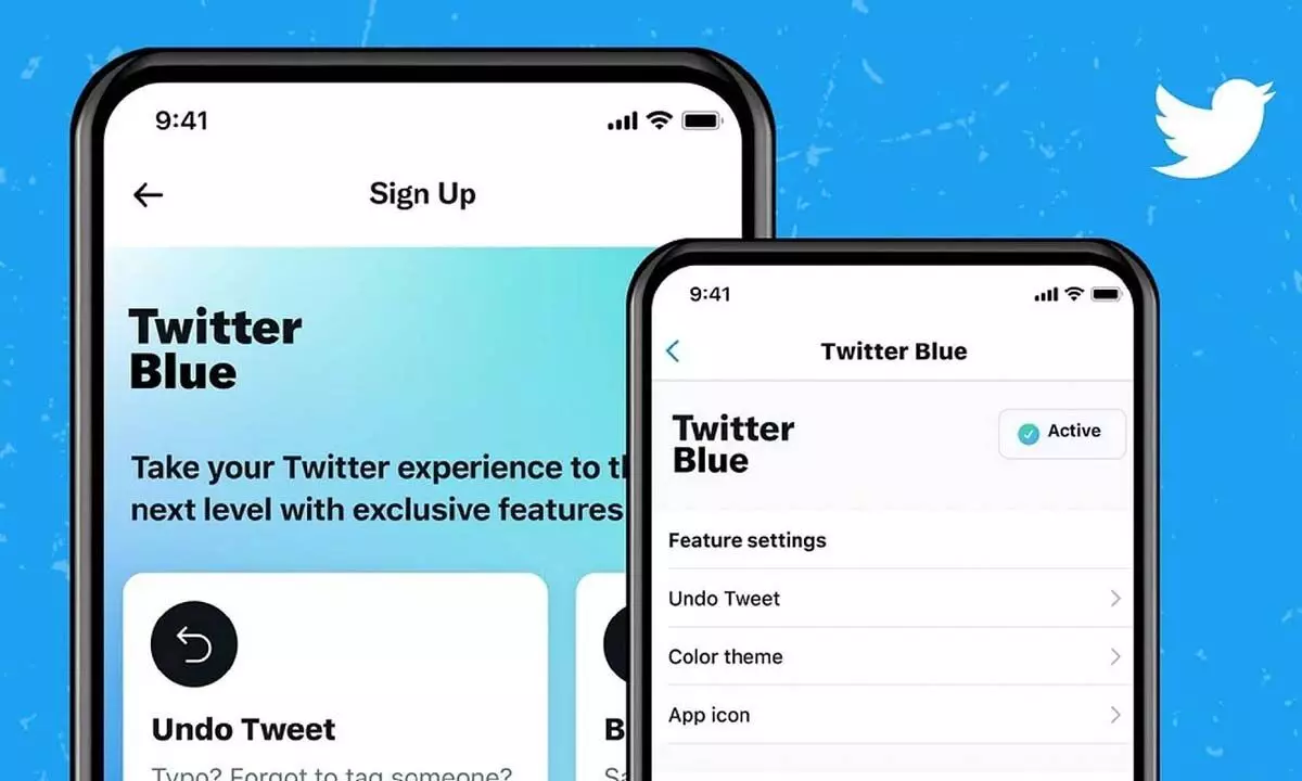How to get a Twitter Blue subscription; Find price details
