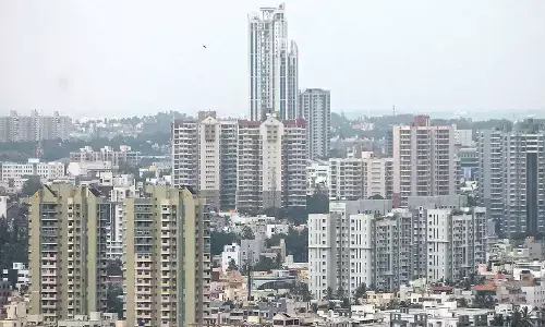 Concretisation is fatal for green zones in Garden City