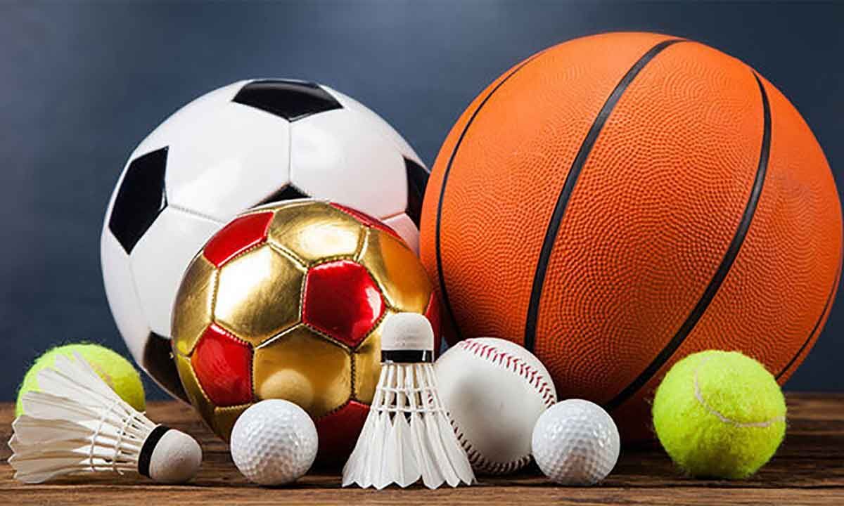 IIMs to offer sport management courses with support from global univs