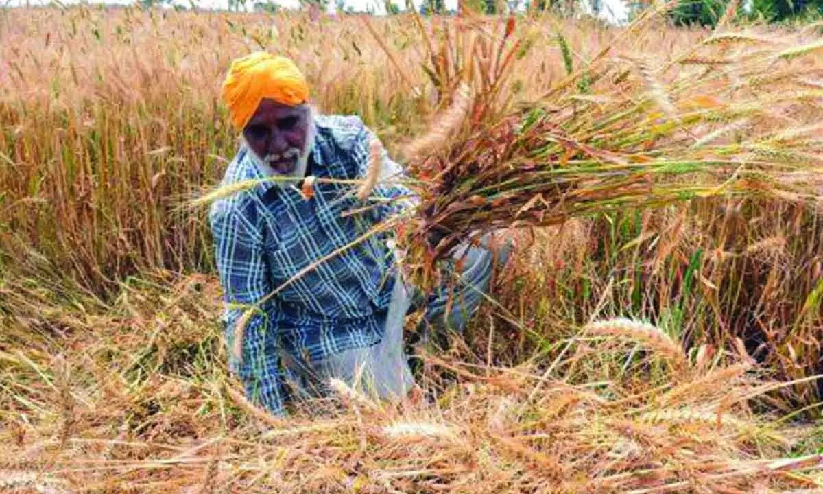 FinMin cautions about lower agri output this yr