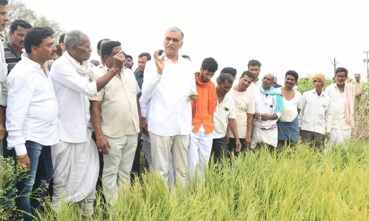 Harish Rao meets farmers who lost crops in Siddipet, tells them not to worry