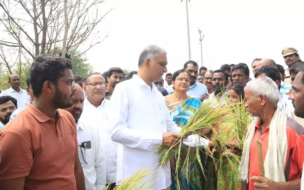 Siddipet: Government will come to rescue of farmers, says Health Minister T Harish Rao