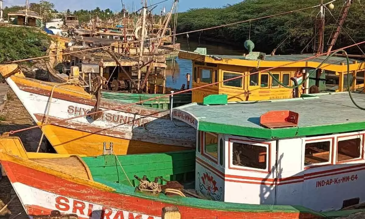 Fishing boats docked at Gilakaladindi harbour near Machilipatnam