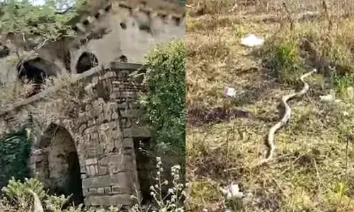 Rangareddy: Youth encounter 10-ft cobra in newly discovered tunnel at Attapurs Mushk Mahal