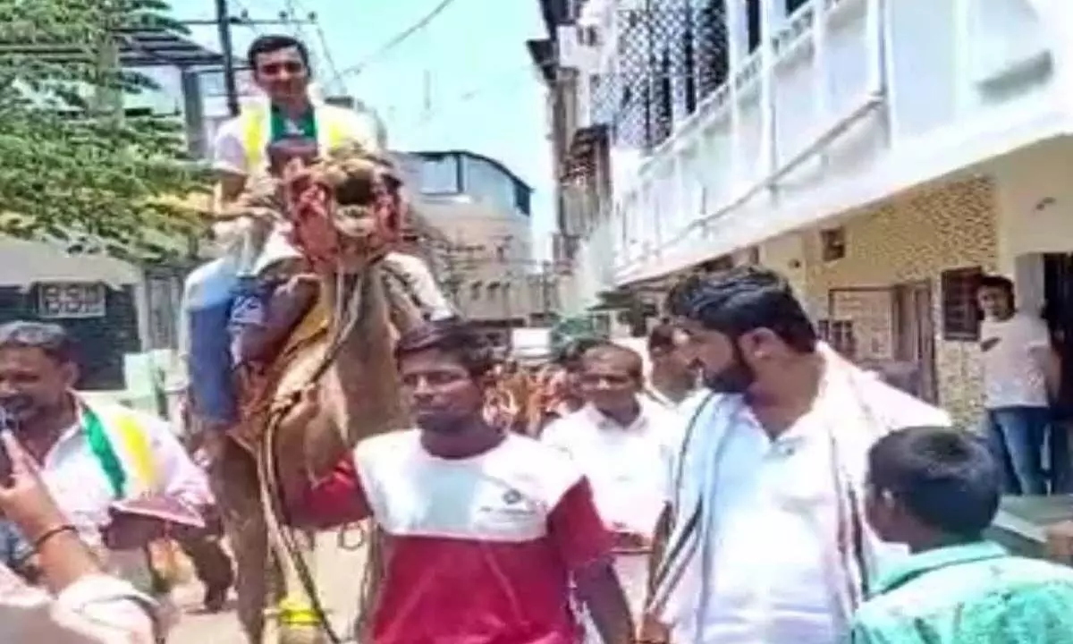 Election campaign atop a camel!