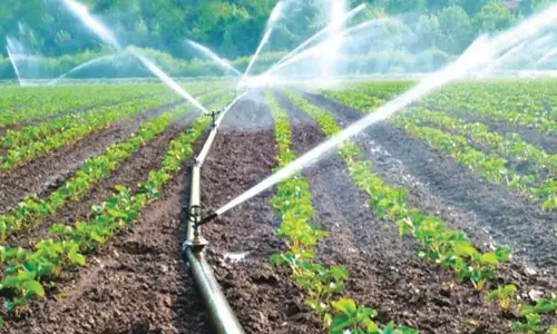 Rajamahendravaram: Applications invited for supply of subsidised drip equipment