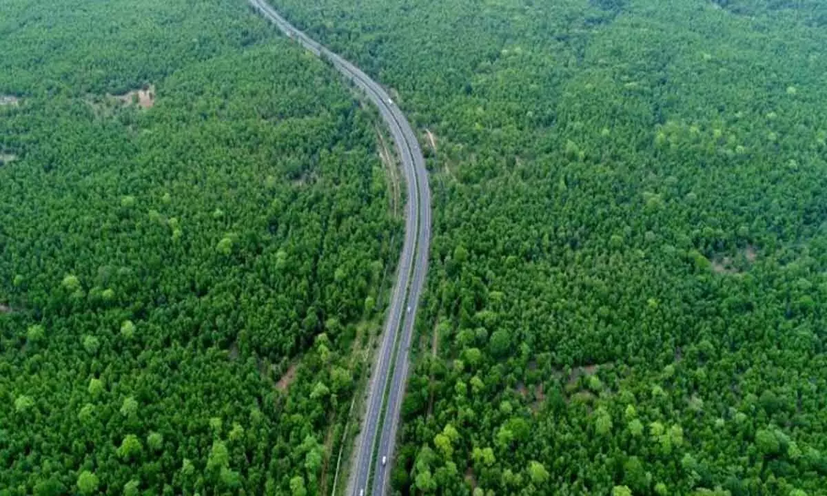TS government greenlights pending road projects in forest areas