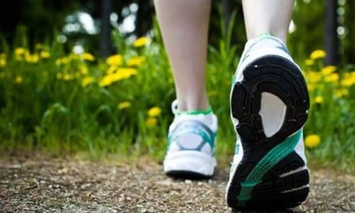 walking helps improve hearts health and also helps lower blood pressure and increases good cholesterol level.