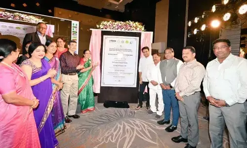 Inclusivity, PPP key to entrepreneurial growth