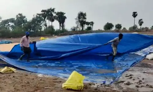 Farmers covering the corn stocks dried in the agriculture fields with plastic covers due to rain in Achampet of Palnadu district