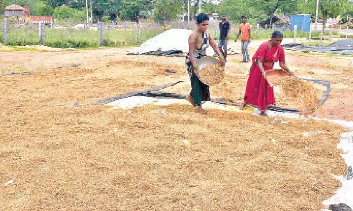 Warangal: No relief from rain fury