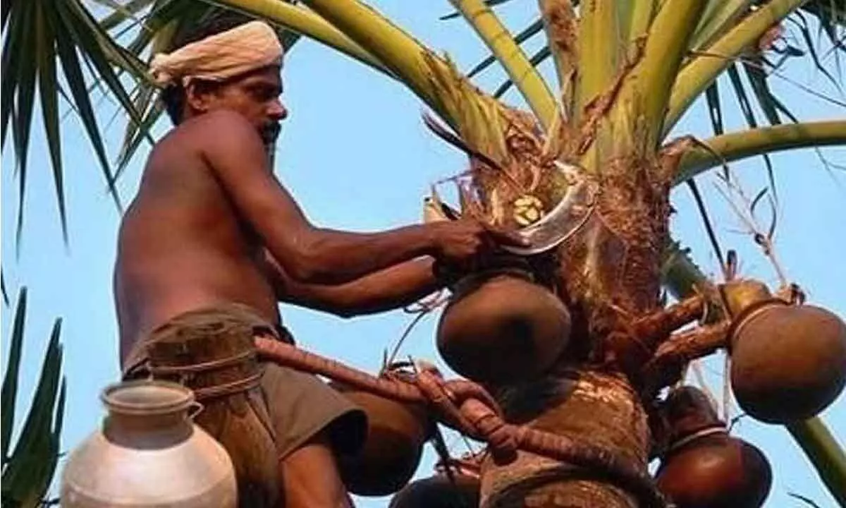 Hyderabad: Now, insurance cover for toddy tappers across State