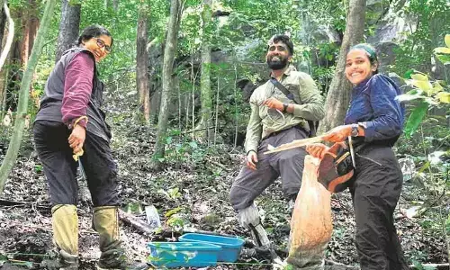 WG a museum and a cradle of diversity for woody plants