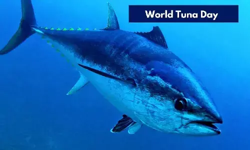 World Tuna Day