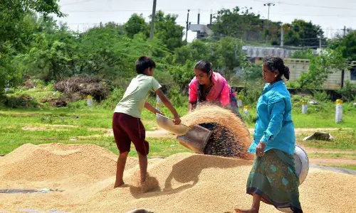 Siddipet: Nature strikes a hard blow at farmers