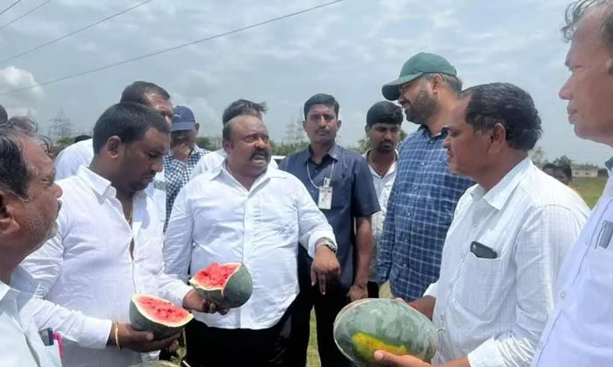 Minister Gangula Kamalakar inpecting the crops damaged by the recent untimely rains in Karimnagar district on Tuesday