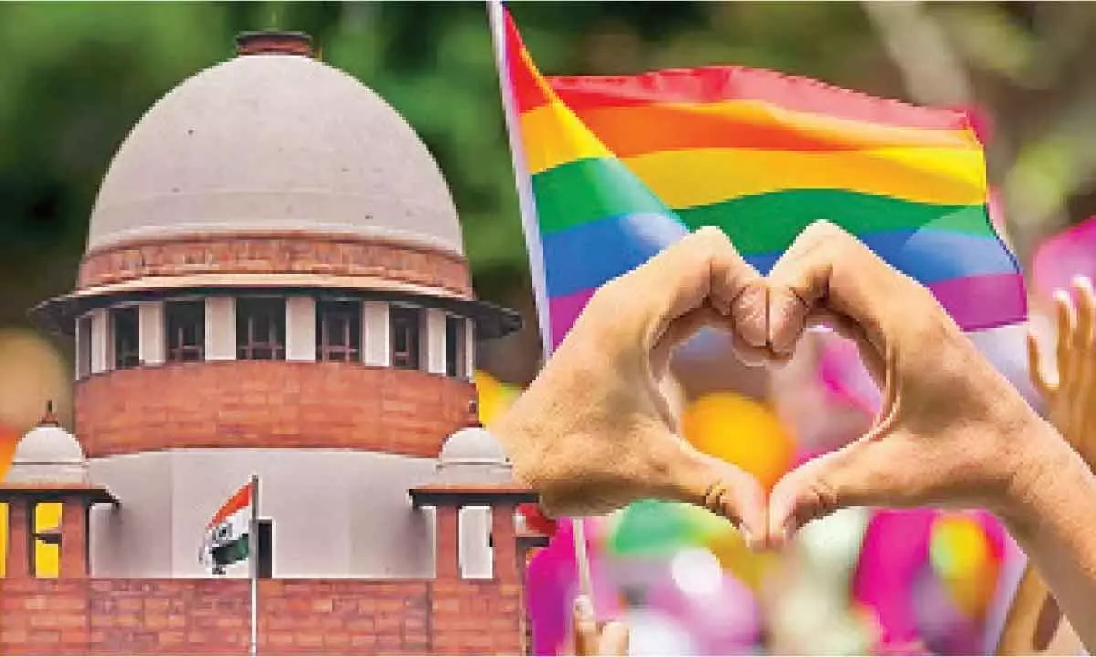 New Delhi: Will set up panel to address concerns of same-sex couples